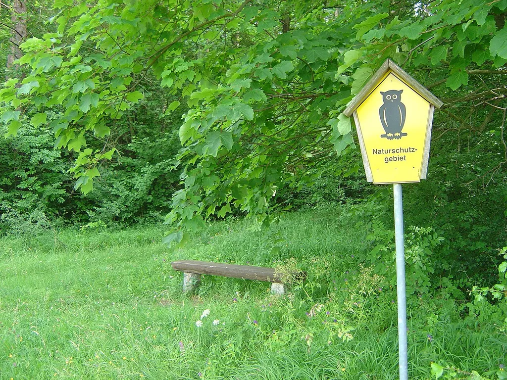 Conservation area Gottesholz near Espenfeld, Arnstadt