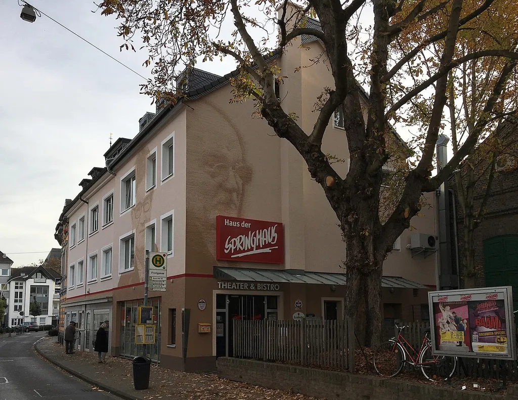 Bonn-Endenich, Frongasse 8–10: «Haus der Springmaus»; Improvisationstheater, Kabarett- und Kleinkunstbühne. Seit September 2016 ist die Fassade mit den Konterfeis von Hanns-Dieter Hüsch (langjähriger Ehrenvorsitzender des Vereins "Haus der Springmaus e.V.") und Roger Willemsen (Bonner und Freund des Hauses, Texter) versehen.