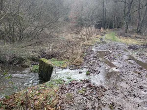 Grenzstein Belgien Luxemburg