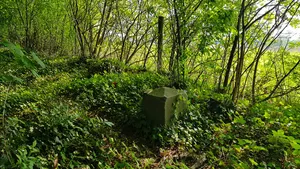 Belgium-Netherlands boundary stone no. 15b