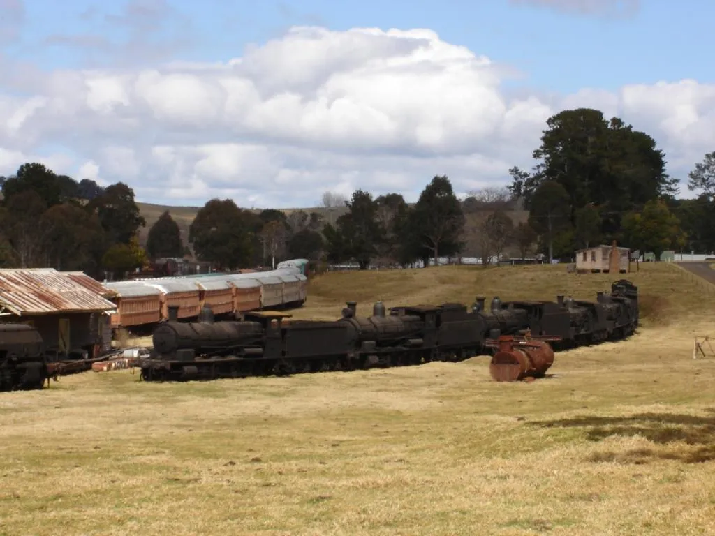 Steam trains at museum at Dorrigo
