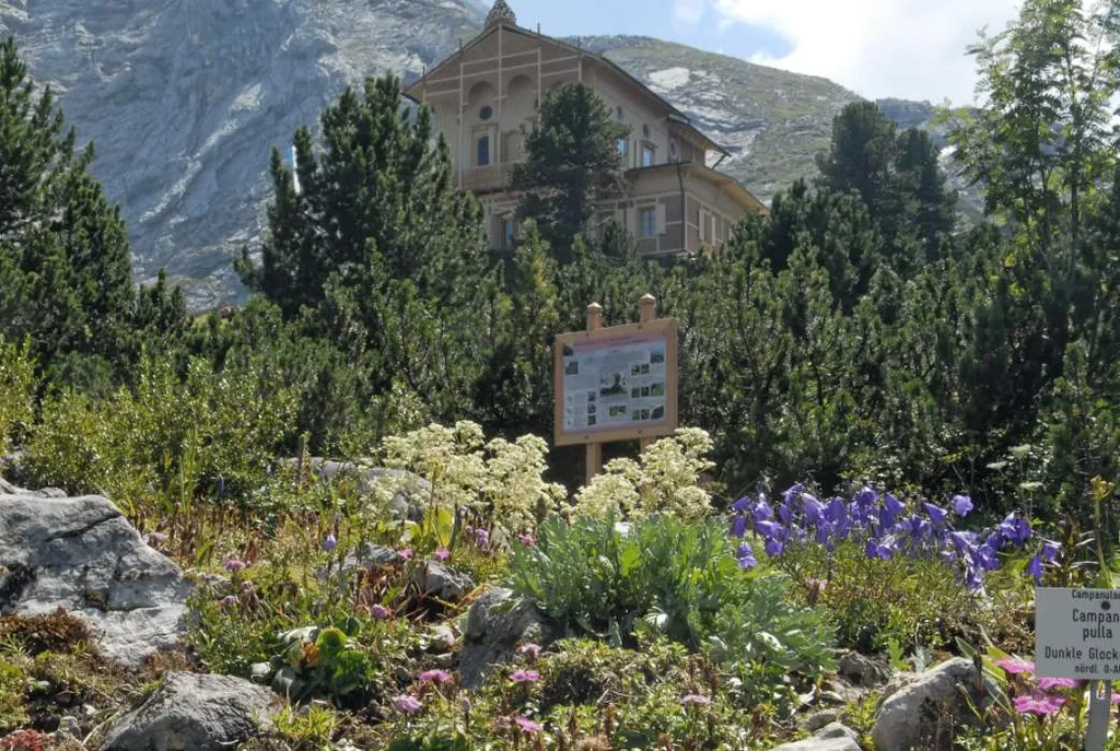 Schachen / Wetterstein, Alpengarten