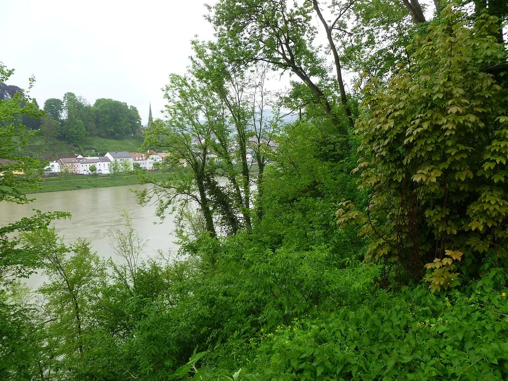Burg Wilhering