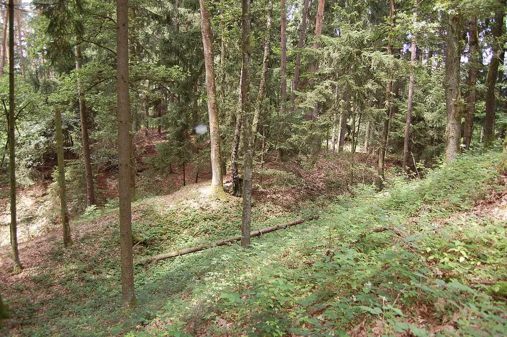 Der Schloßbühel Schwarzgrub im Ortsteil Schwarzgrub der Gemeinde Walding in Oberösterreich. This media shows the protected monument with ObjektID 130256 in Austria. (Commons, de, Wikidata)