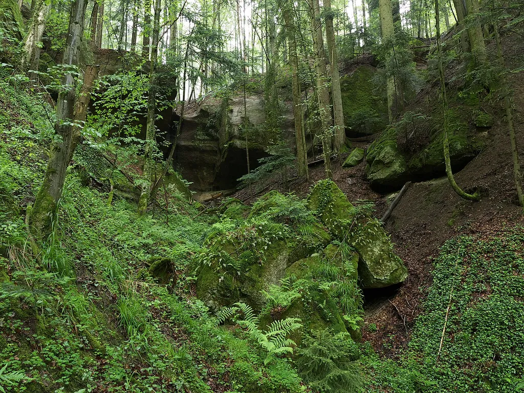 View in north direction (roughly) to the grotto in the Geldmacherklinge (natural monument; ravine near Welzheim in Baden-Württemberg, Germany)