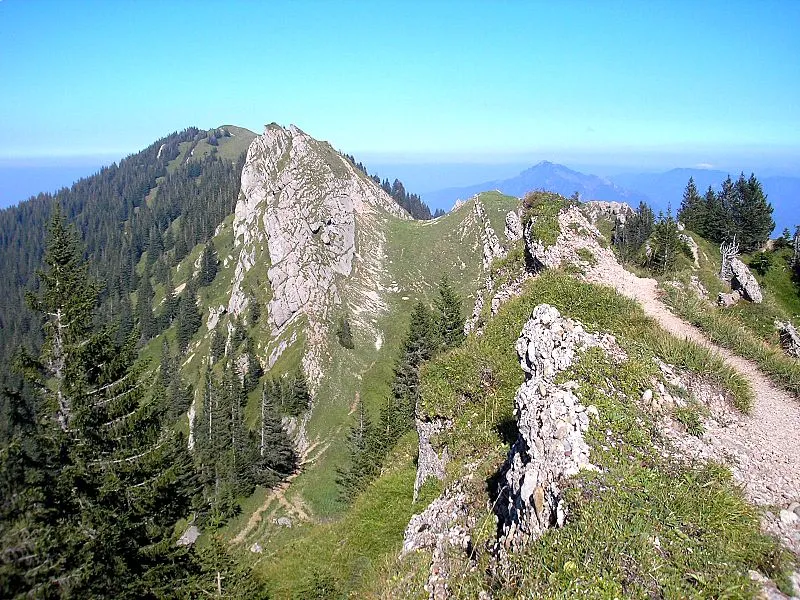 Steineberg (1660 m) near Immenstadt (Nagelfluhkette, Allgäu Alps, Bavaria, Germany). The Steineberg (left), seen from the ridge of the Nagelfluhkette