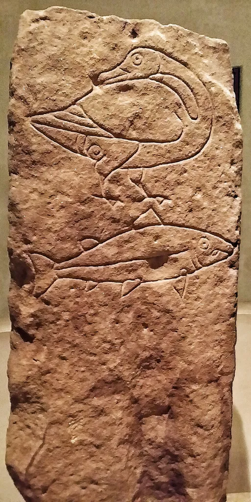 National Museum of Scotland, Edinburgh