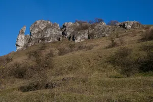 Ehrenbürg