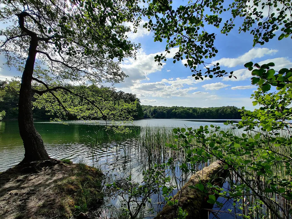 Kalksee, Naturschutzgebiet Ruppiner Schweiz, Landkreis OPR, Brandenburg