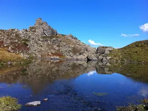 Hauensee