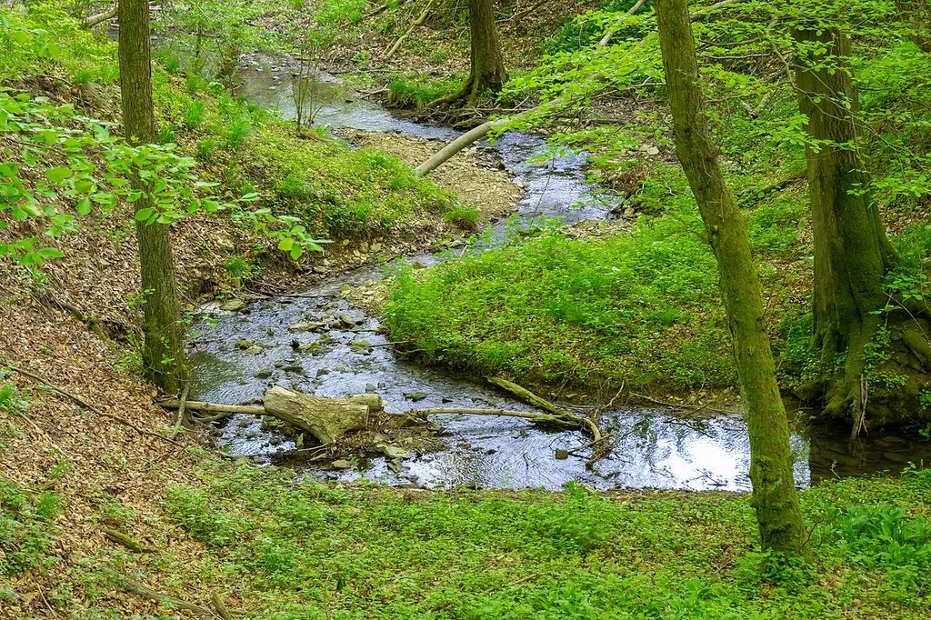 Hinnenburger Forst mit Emder Bachtal