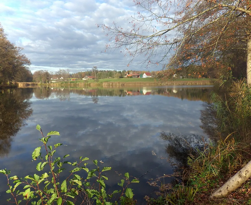 Blick vom Damm des Fleckenbachsees, des Mühlteichs der Fleckenbachsägmühle, über den See in Richtung Nordnordosten auf Ipshof, Gemeinde Frankenhardt, Landkreis Schwäbisch Hall, Baden-Württemberg. Durch die am linken Bildrand erkennbare schilfbestandene Einlaufbucht fließt die Blinde Rot zu, die den See auch entwässert.