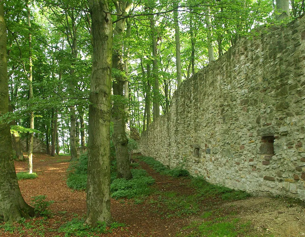 Burgruine Landeck bei Schenklengsfeld, in Richtung "Tanzplatz" fotografiert