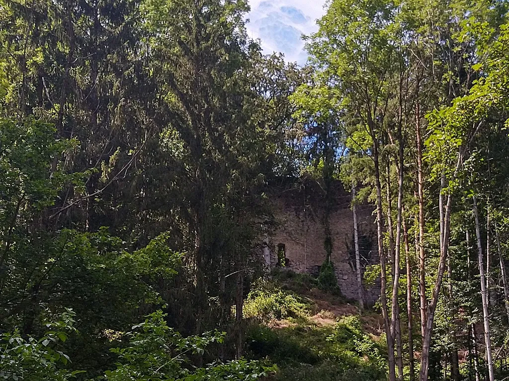 Ruine Pfangberg