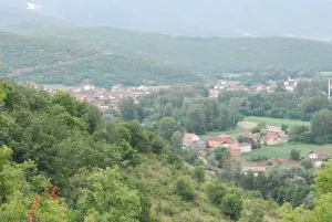 Tenovo