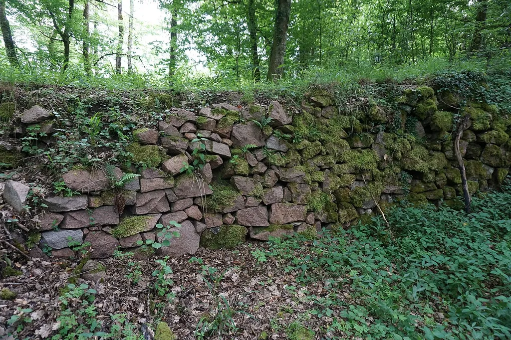 Mauerreste der Burg Neu-Waldeck bei Tegernau im Kleinen Wiesental.