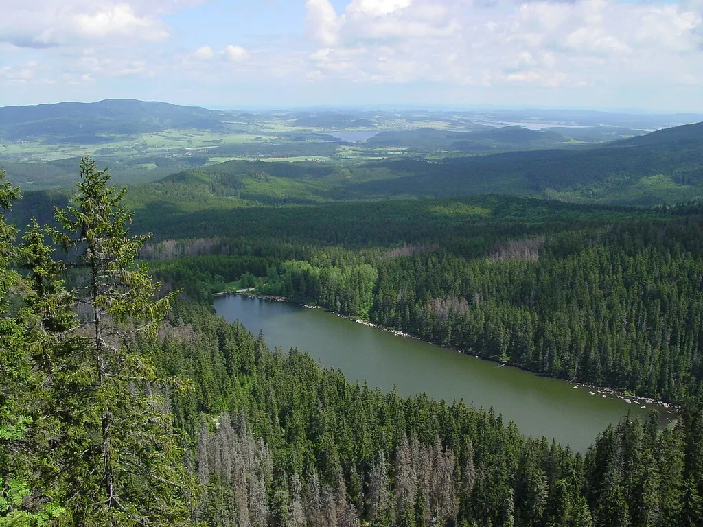 Plešné jezero od Stifterova památníku.