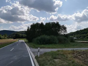 Naturdenkmal Schilfbestand Gamburg Krautgärten