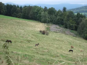 Bayerische Hohe Rhön