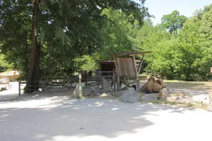 Tierpark Haag