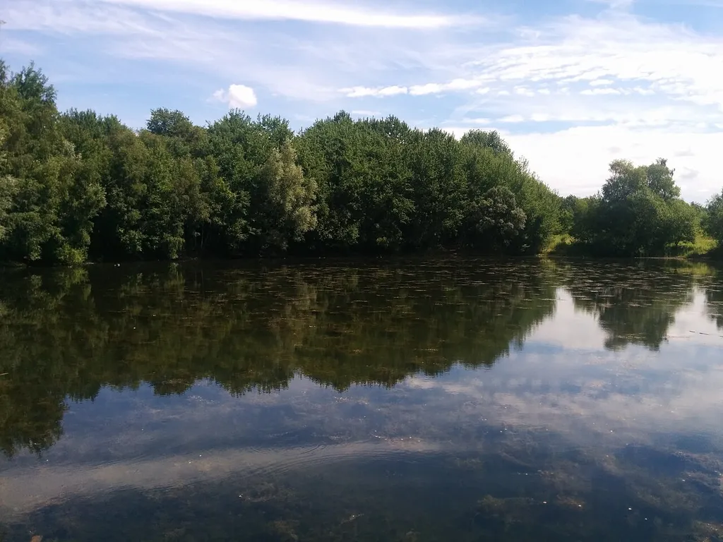 Naturschutzgebiet Buschei, Dortmund