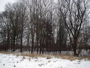 Burgwall Leegebruch