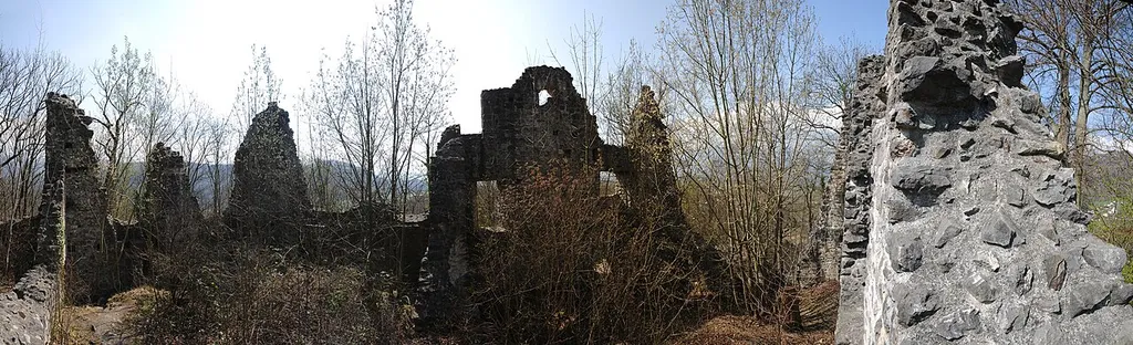 Die Burgruine Neuburg (Koblach) in der Gemeinde Koblach in Vorarlberg steht auf dem gleichnamigen Inselberg in der Rheintalebene. Die Anlage steht unter Denkmalschutz.