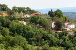 Poggio Nuovo-Casaline