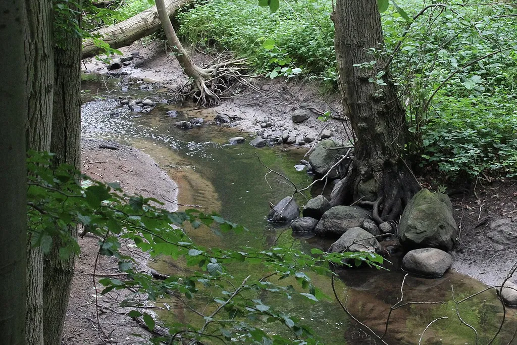 Naturschutzgebiet Beketal (N 302) im Landkreis Rostock (Mecklenburg-Vorpommern)