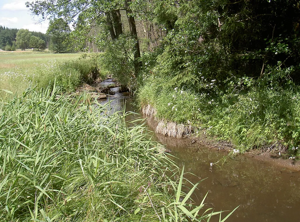 Bayerische Schwarzach und Biberbach