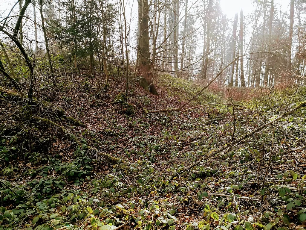 Untere Heidenburg