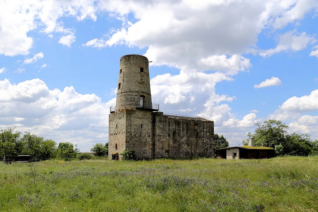 Nordostansicht der Kirchenruine hl. Martin in der niederösterreichischen Gemeinde Markgrafneusiedl. Die am nordöstlichen Ortausgang in beherrschender Höhenlage errichtete (Ende des 12. Jahrhunderts) ehemalige Wehrkirche wurde 1574 als Wallfahrtskirche bezeichnet und 1683 urkundlich als Ruine genannt. Bei der Schlacht bei Wagram 1809 diente sie den Österreichern unter Erzherzog Karl als Kommandositz. 1817 wird sie zu einer Windmühle mit dominierendem Rundturm umgebaut und brannte 1862 aus.