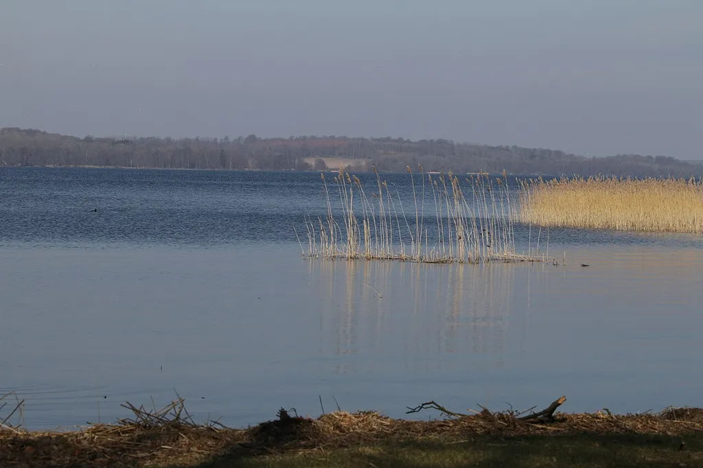 Västra Ringsjön april 2018
