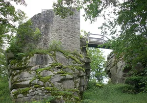Burgruine Schellenberg