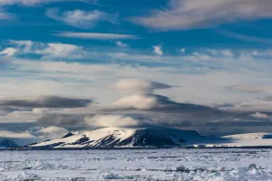 Wiener Neustadt Island