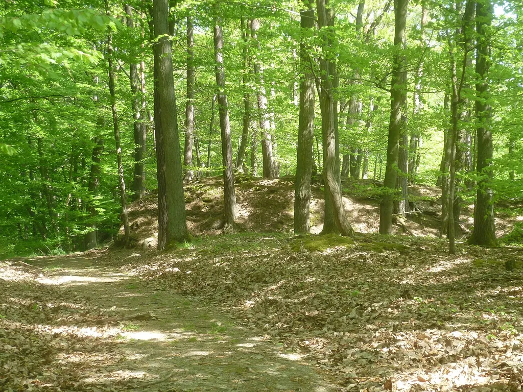 Dritter Abschnittswall der Burg Heidenpütz