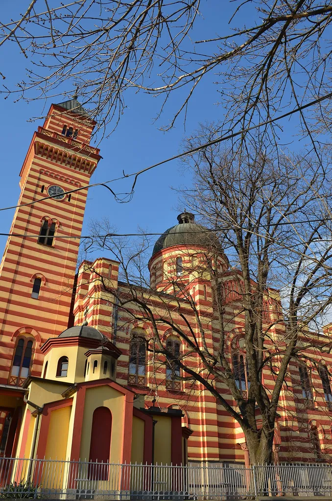 Zapis - Sacred Tree, Linden in Paraćin, municipality Paraćin, Serbia