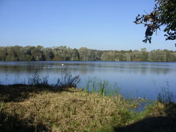 Dunger See, Naturschutzgebiet. Blick über den See vom Beobachtungsstand südlich des Sees.