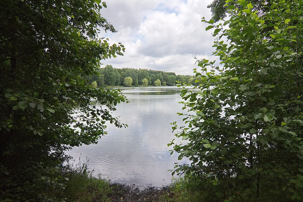 Bordenauer See
