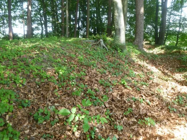 Burgstall_Holzöster_-__Burgplateau