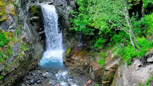 Christine Falls