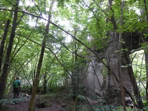 Ruins of Toenisstein monastery