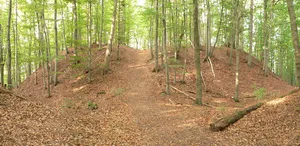 Burg Lichtenstein