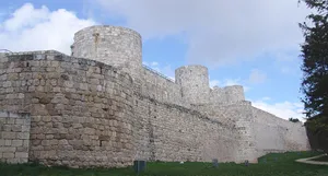 Castle of Burgos