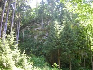 Burgstall Altneuhaus