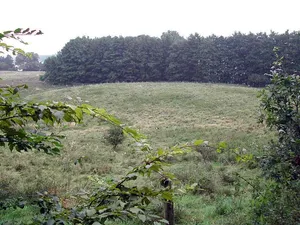 Burgwall Kittlitz