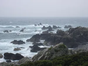 Muroto-Anan Kaigan Quasi-National Park