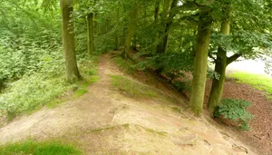 Ringwall der Marienburg bei Nordstemmen