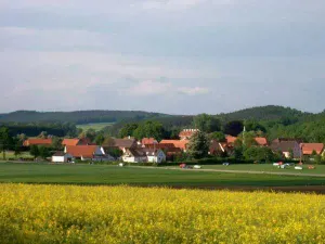 Dennenlohe (Unterschwaningen)