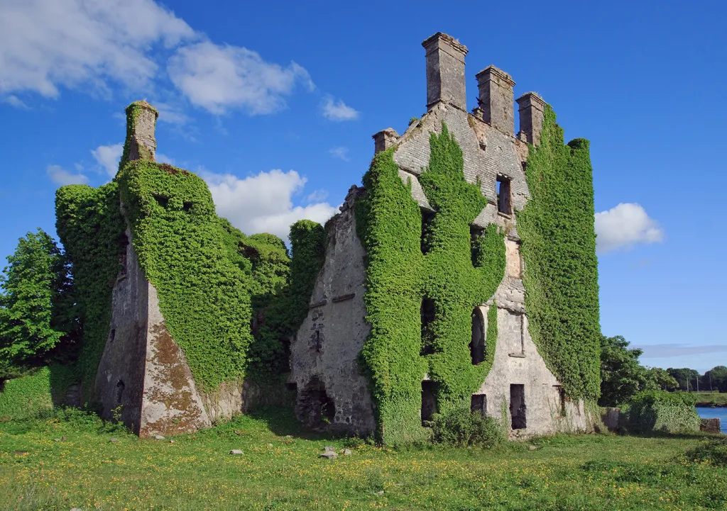 Castles of Connacht: Menlough, Galway (2)
